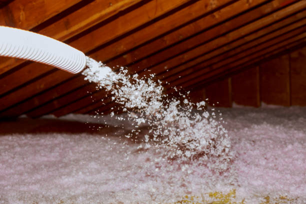 Best Insulation Contractors for Homes  in Lacon, IL