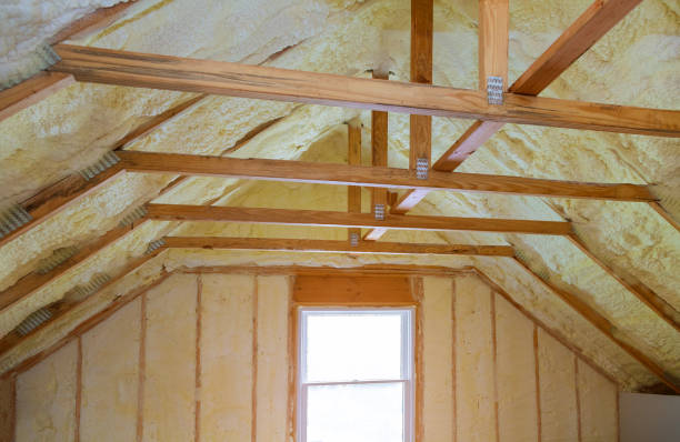 Best Attic Insulation Installation  in Lacon, IL
