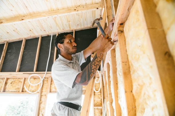 Best Insulation Removal  in Lacon, IL