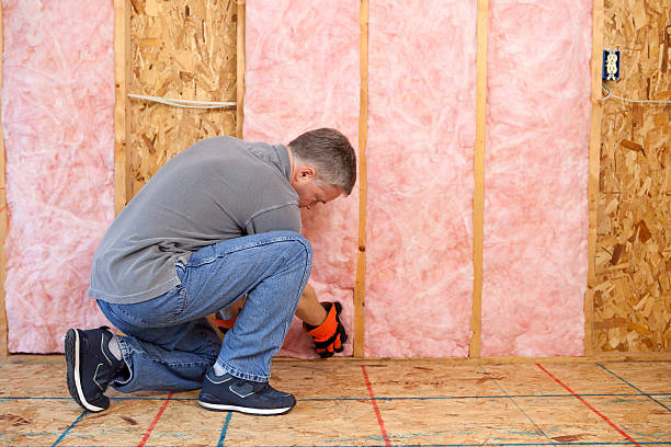 Best Insulation Repair Services  in Lacon, IL