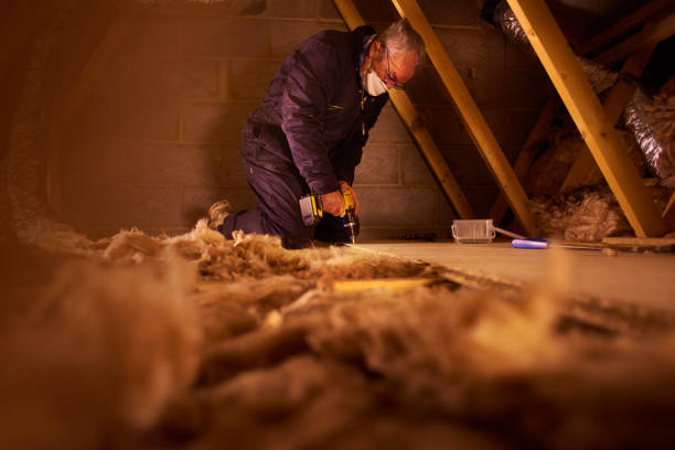 Best Insulation Inspection Services  in Lacon, IL